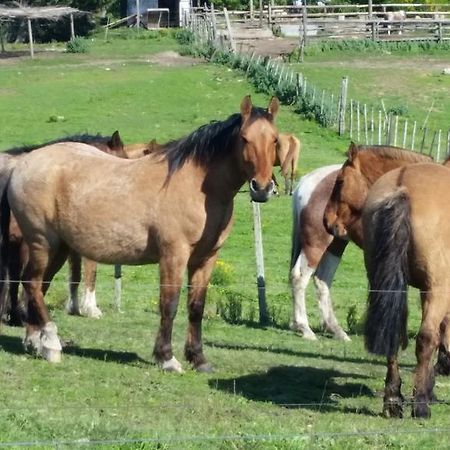 Estancia Turistica Don Joaquin Scavino Zewnętrze zdjęcie